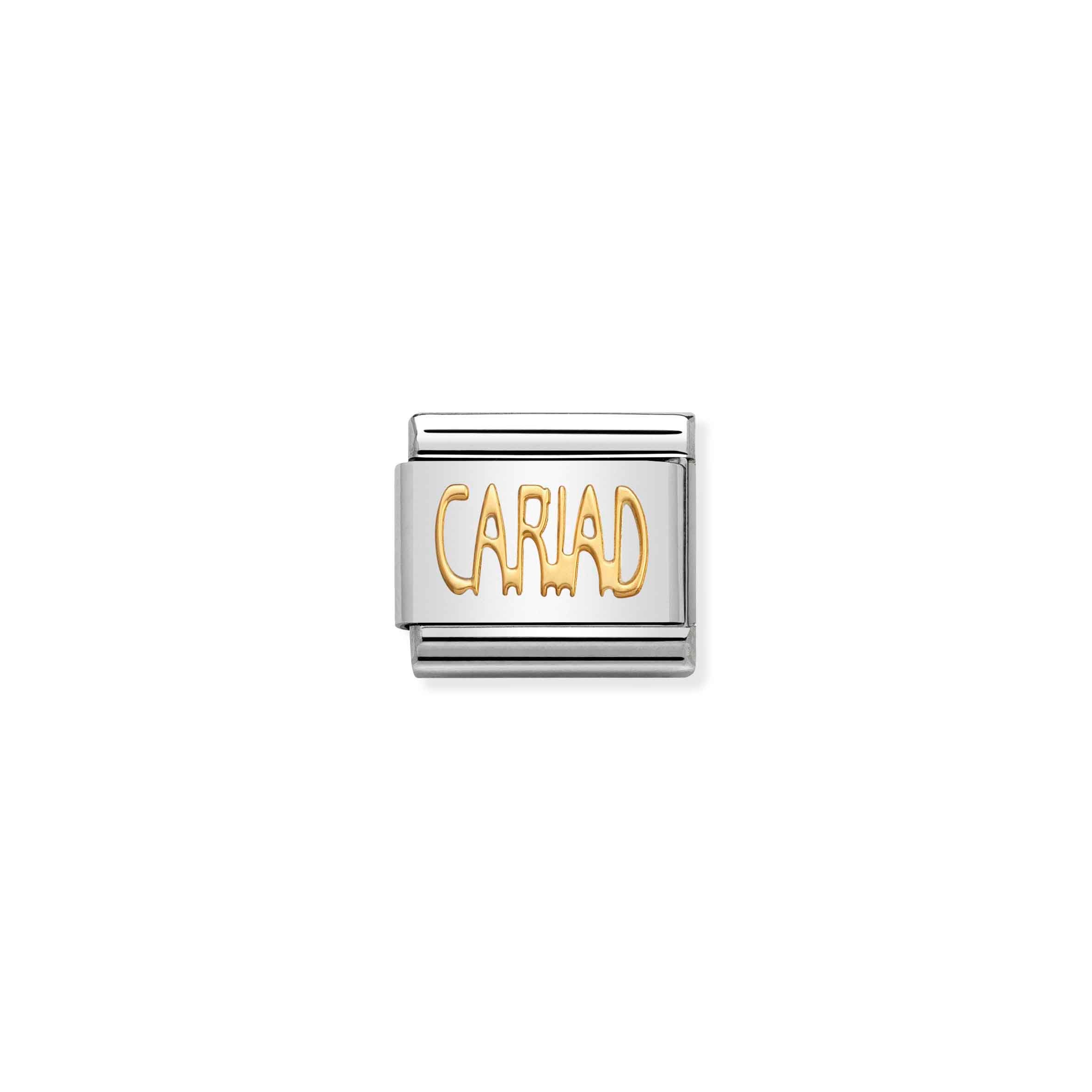 Charm, Composable Link, CARIAD in bonded yellow gold