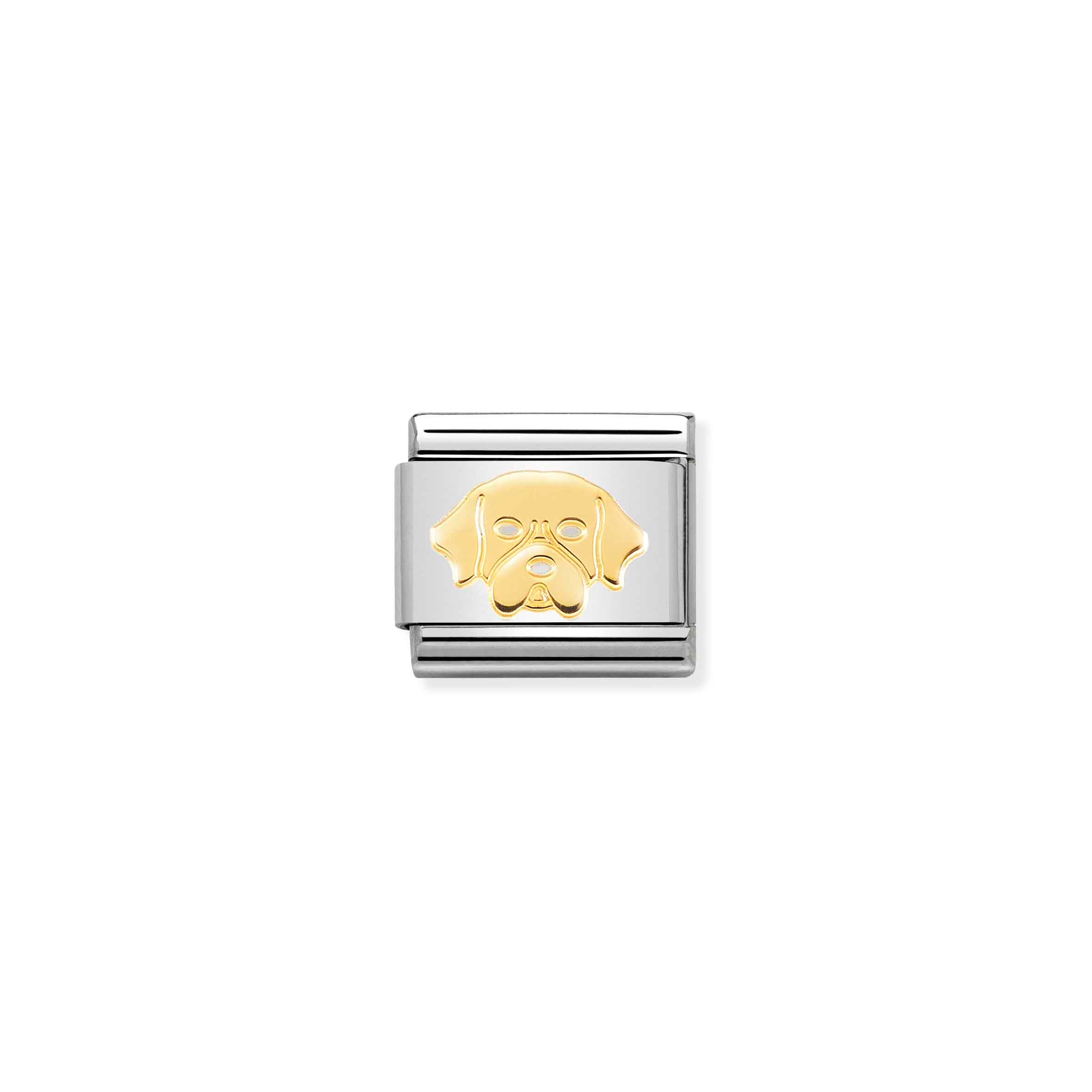 Charm, Composable Link, Golden Retriever