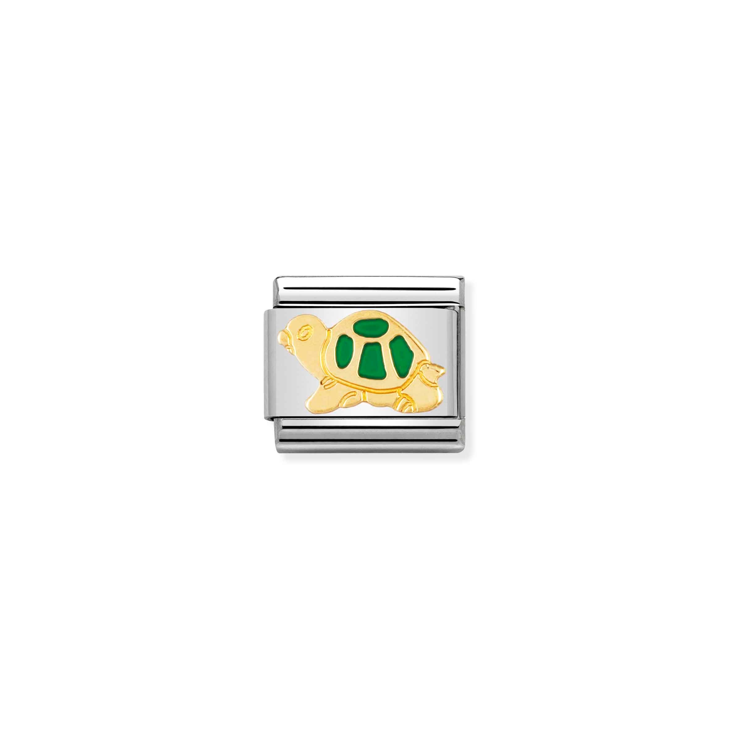 Charm, Composable Link, green Turtle