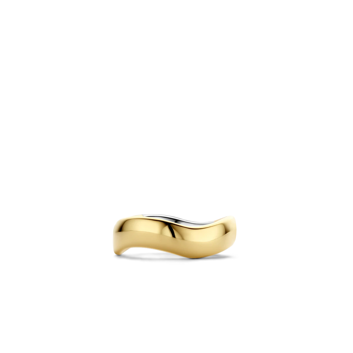 Waves of the Ocean Ring