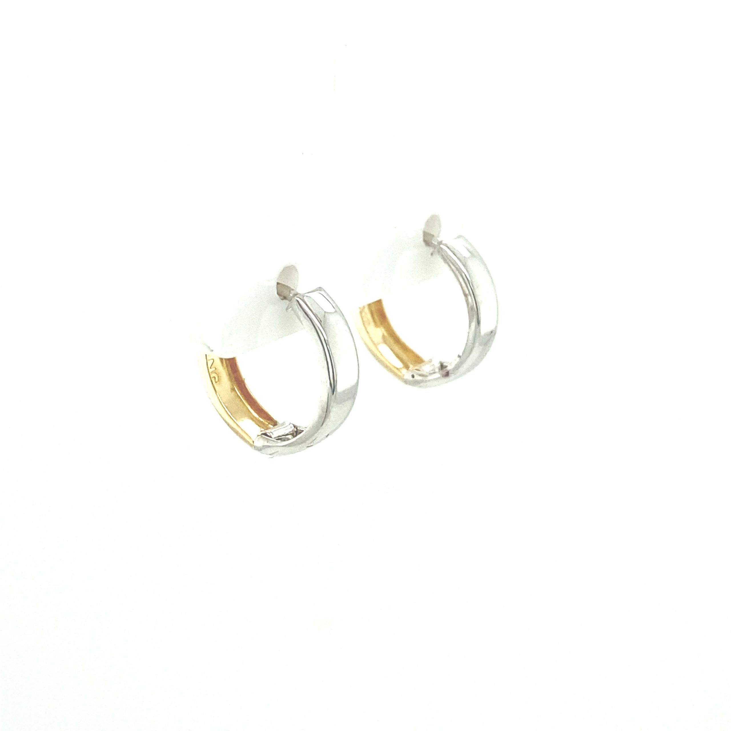 2/T EARRINGS HOOPS