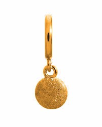 Shiny Drop Charm (Gold)