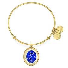 Capricorn Celestial Wheel Charm Bangle Bracelet (Gold)
