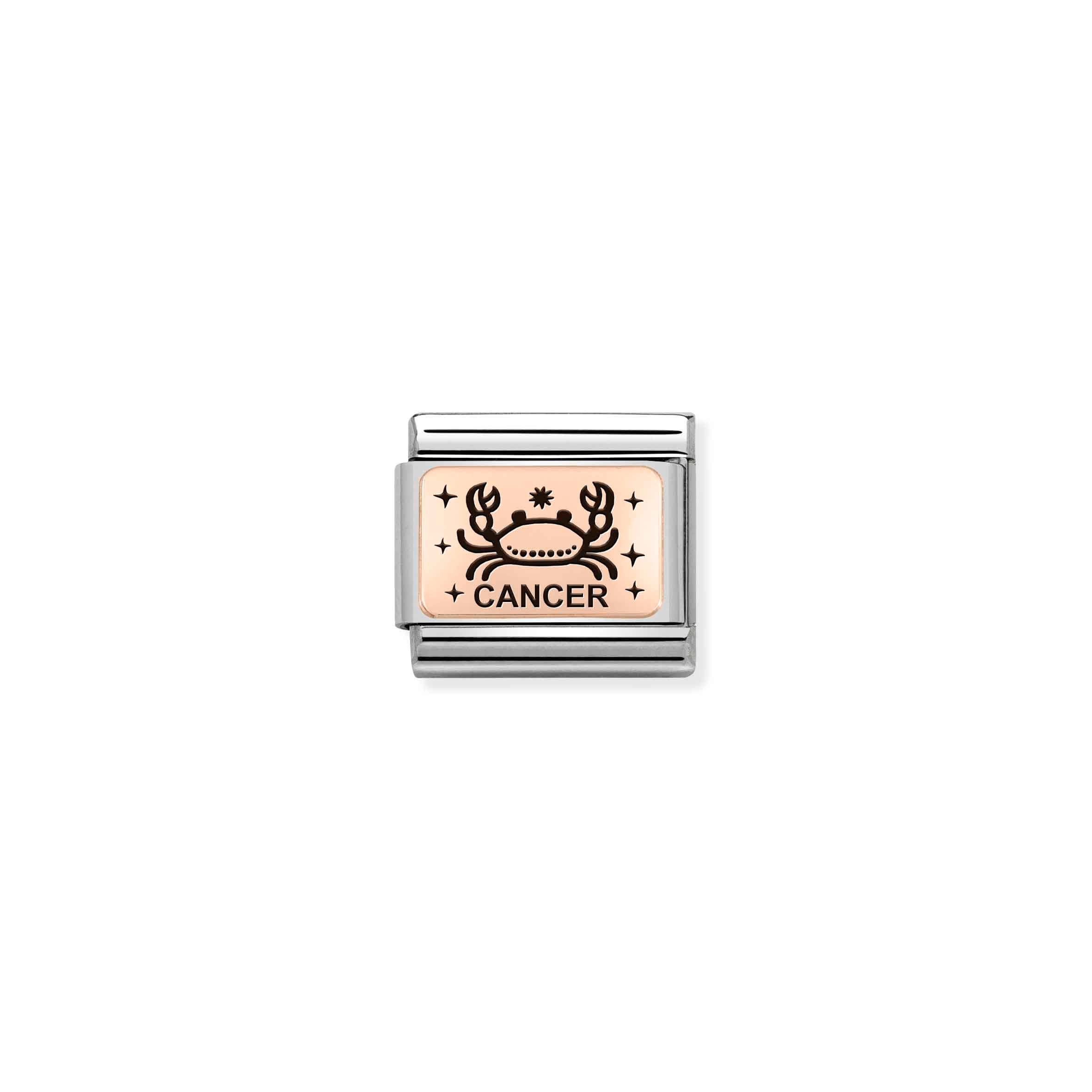 Charm, Composable Link, rosegold Cancer