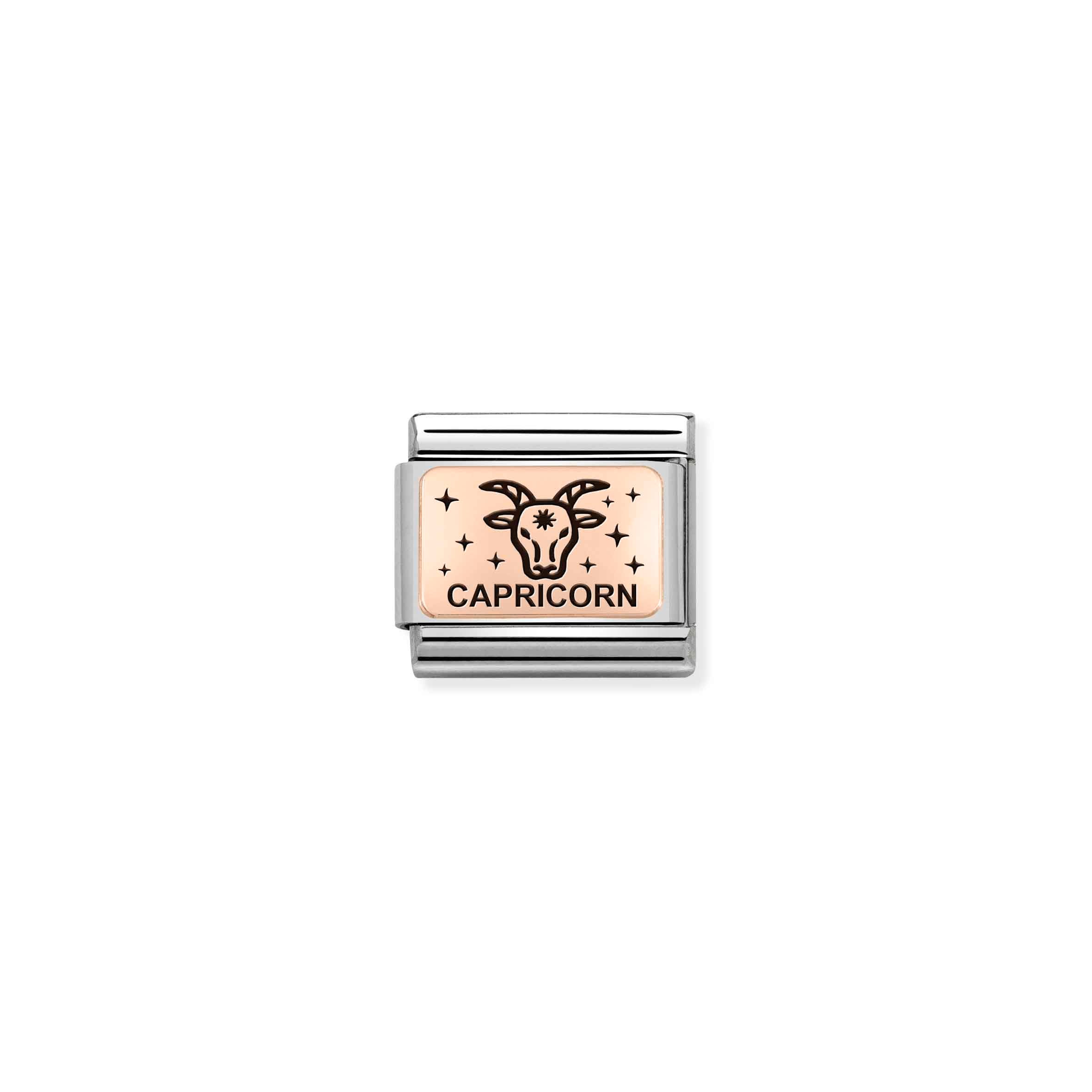 Charm, Composable Link, rosegold Capricorn