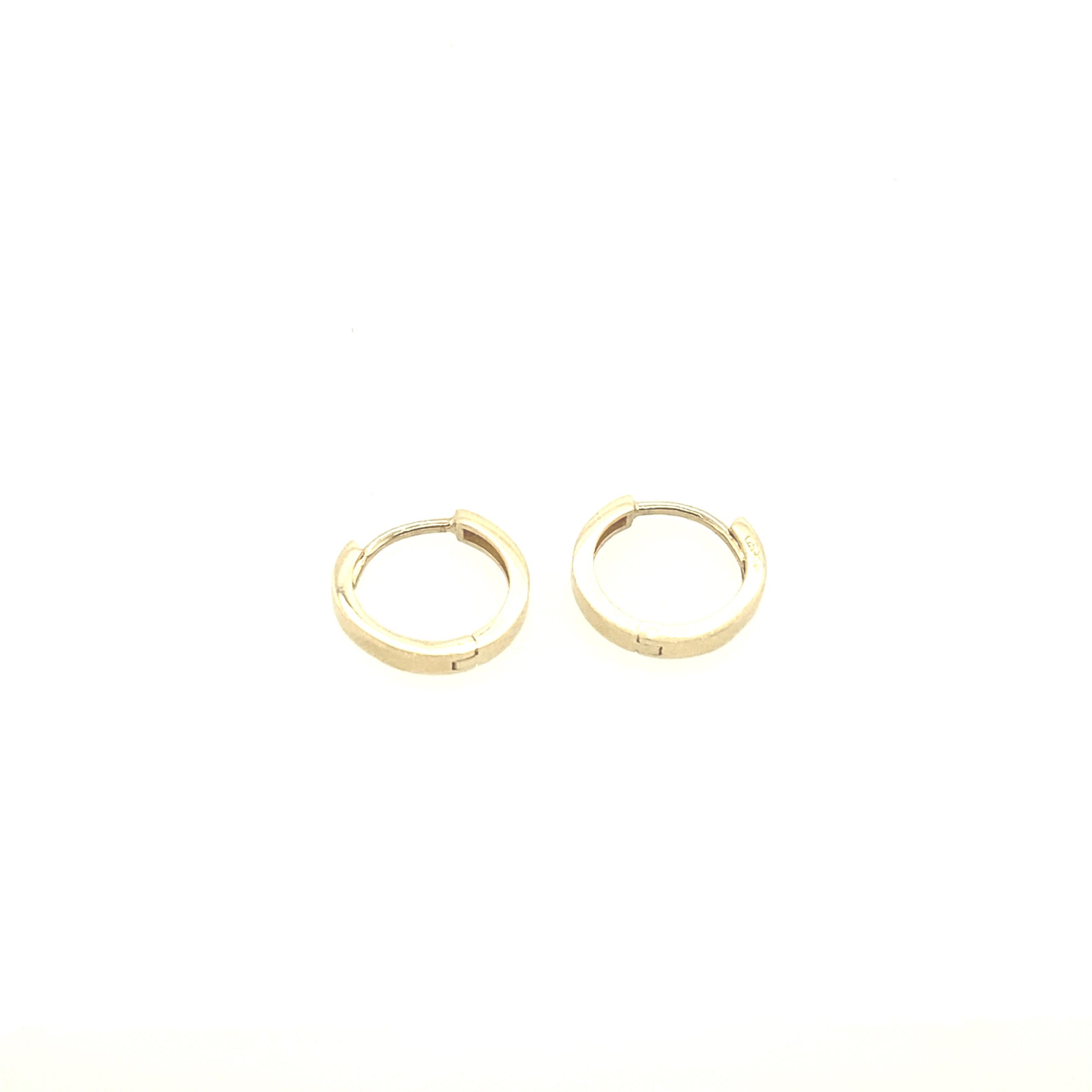 Small Flat Hoops Earrings