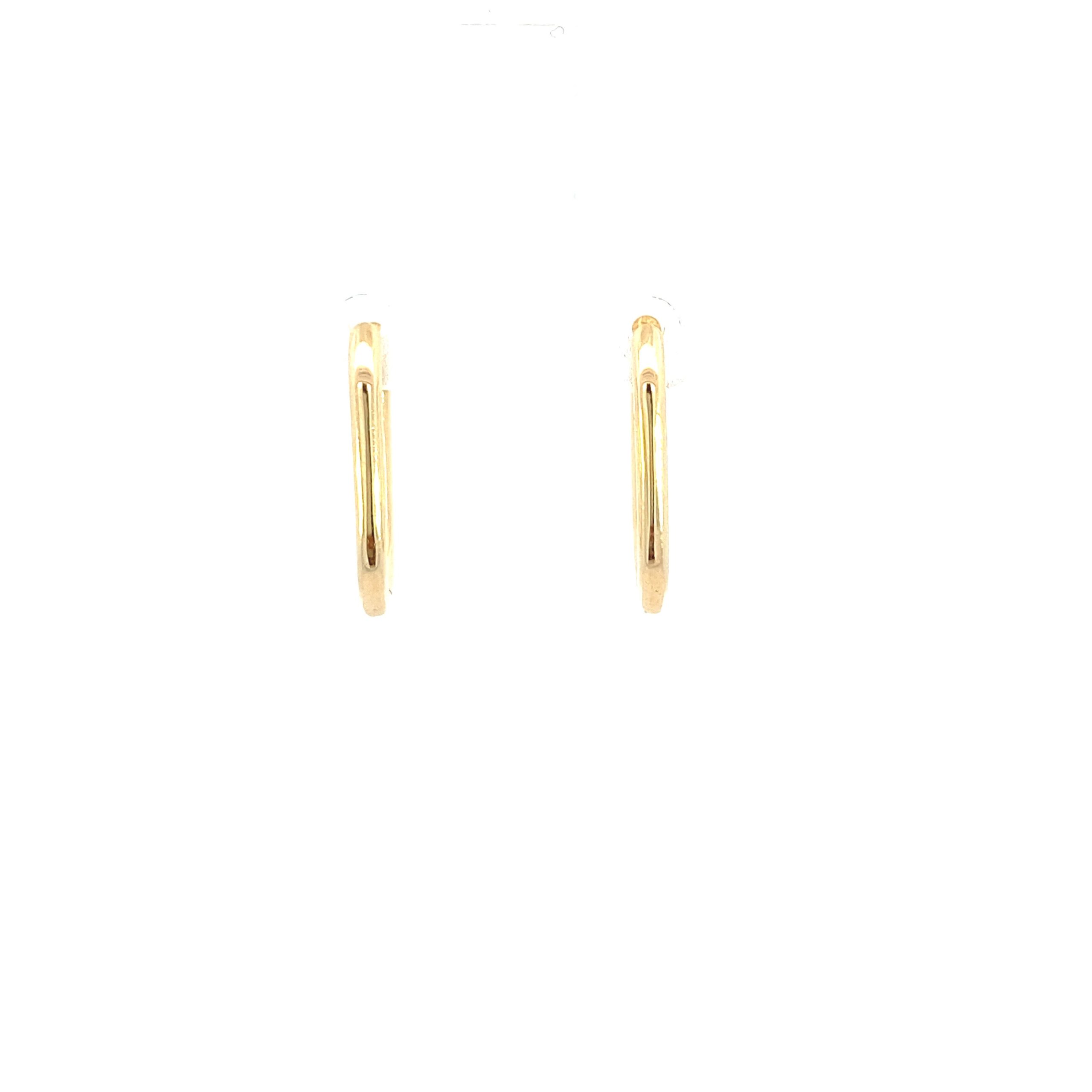 14K Gold Oval Hoops Earrings