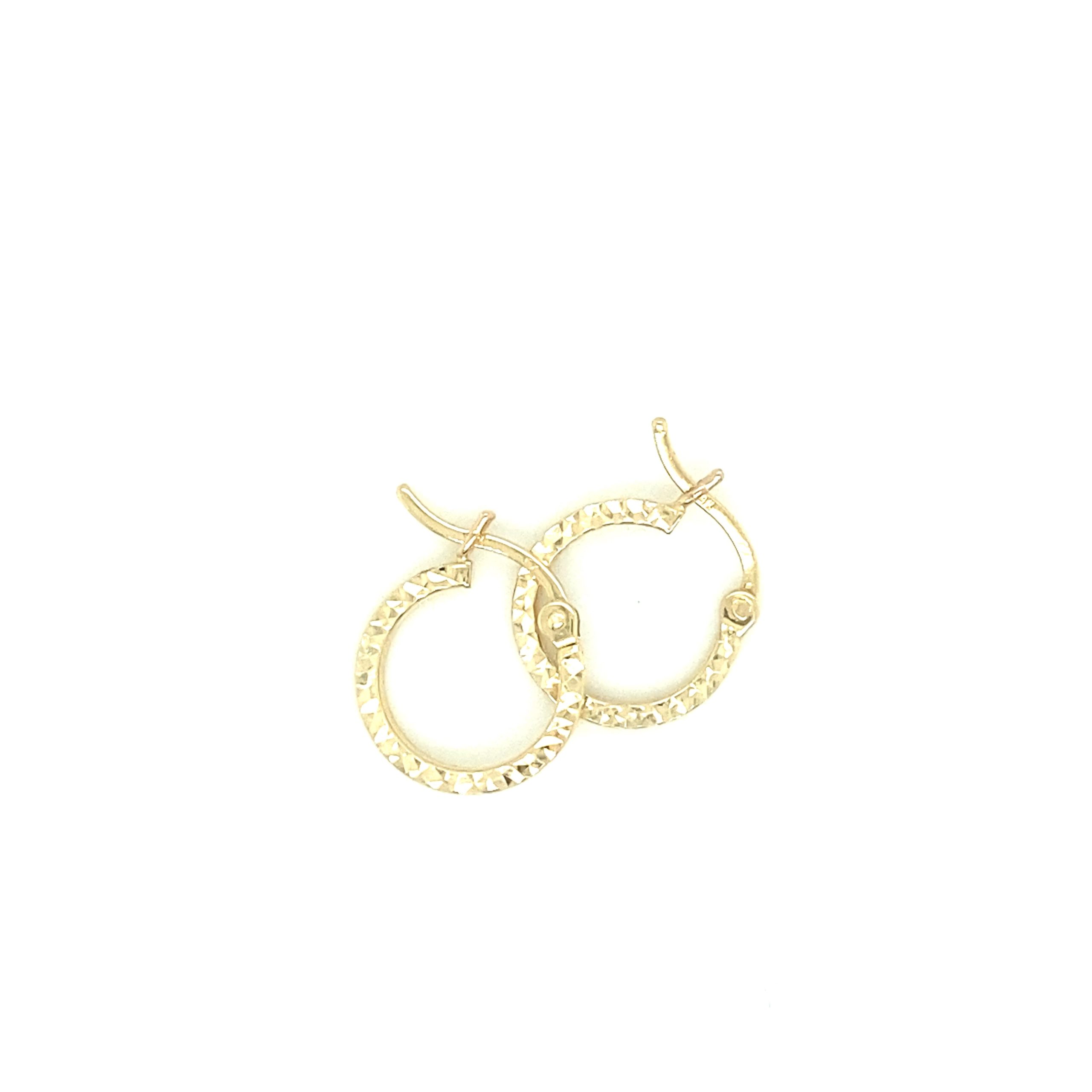 Small Hoops Faceted Earrings