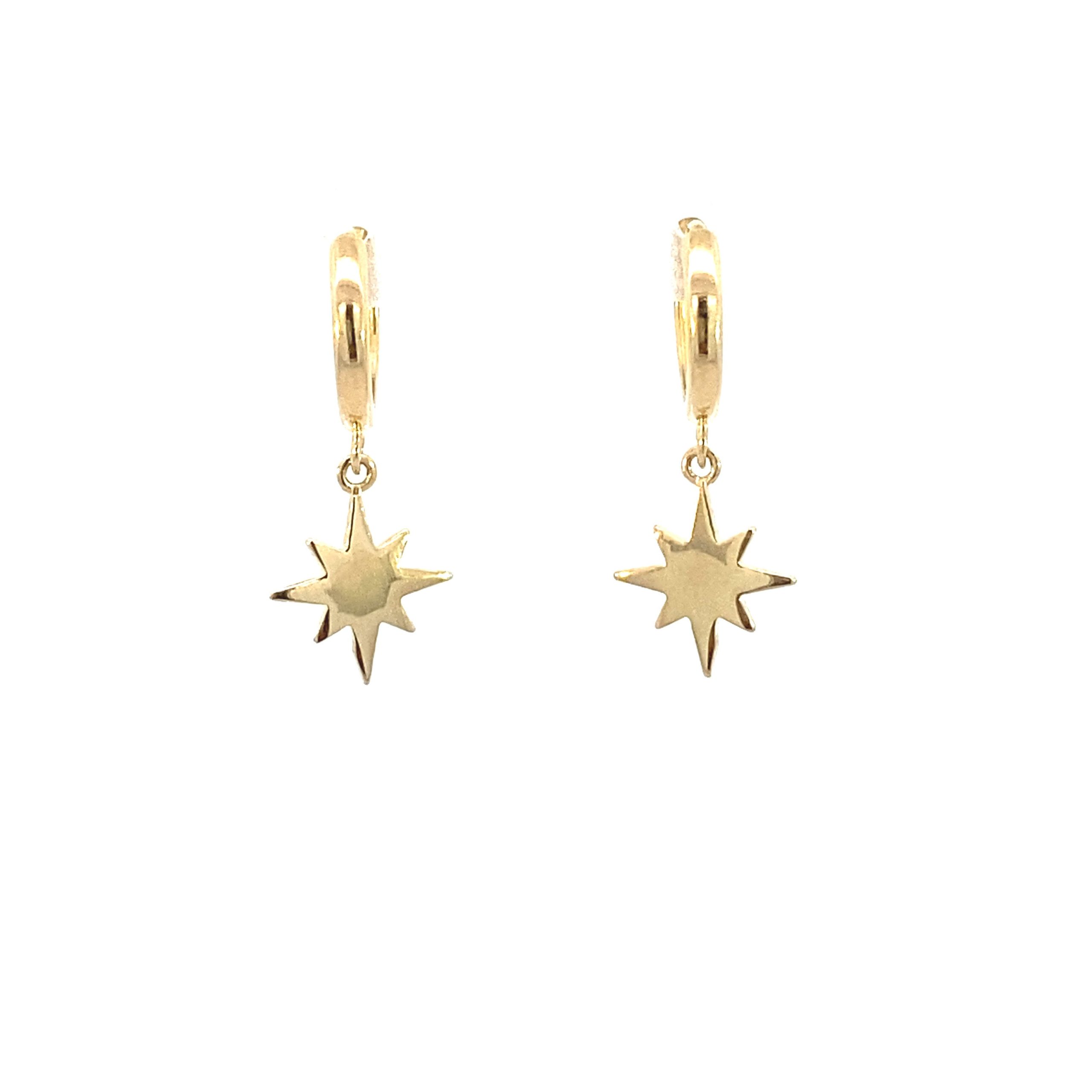 14K Gold Salomon Star Hoops Earring