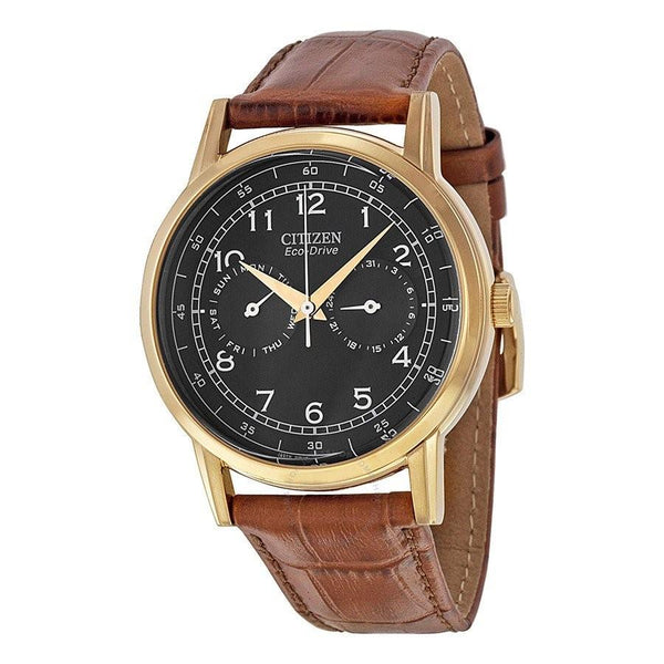 Citizen Men's AO9003-08E Eco-Drive Brown Leather Watch