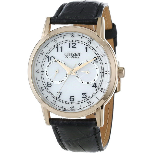 Citizen Men's AO9003-16A Eco-Drive Multi-Function Black Leather Watch