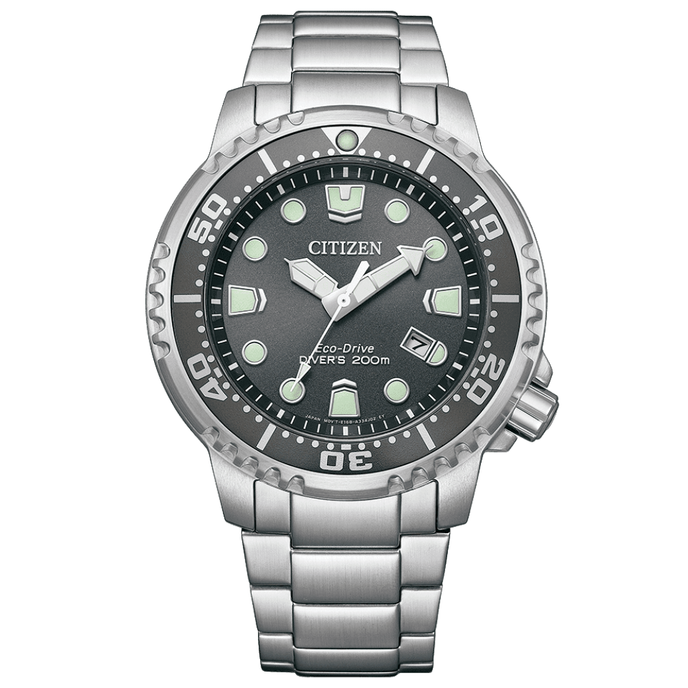 Promaster Dive Gray Dial