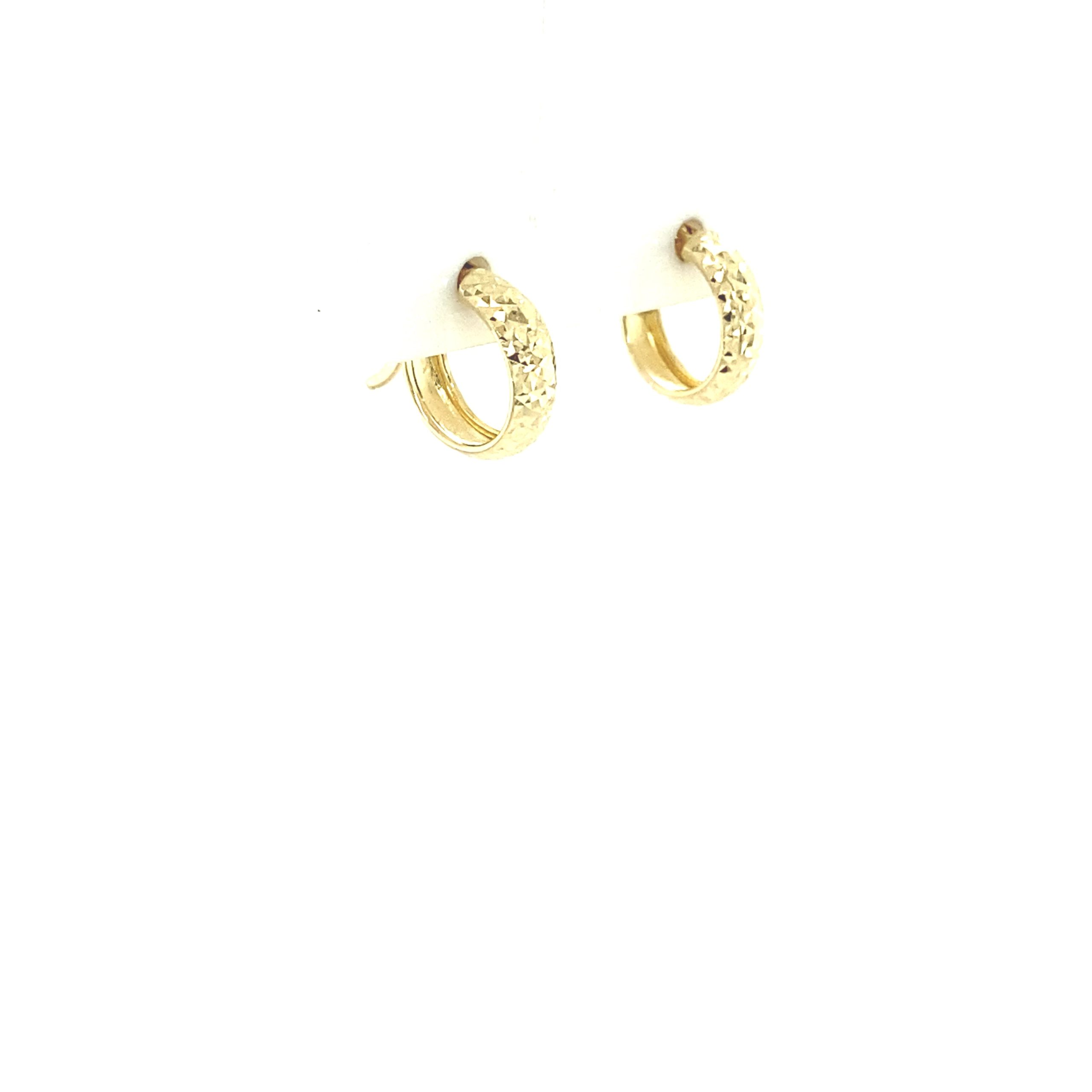 Small Hoops Earring