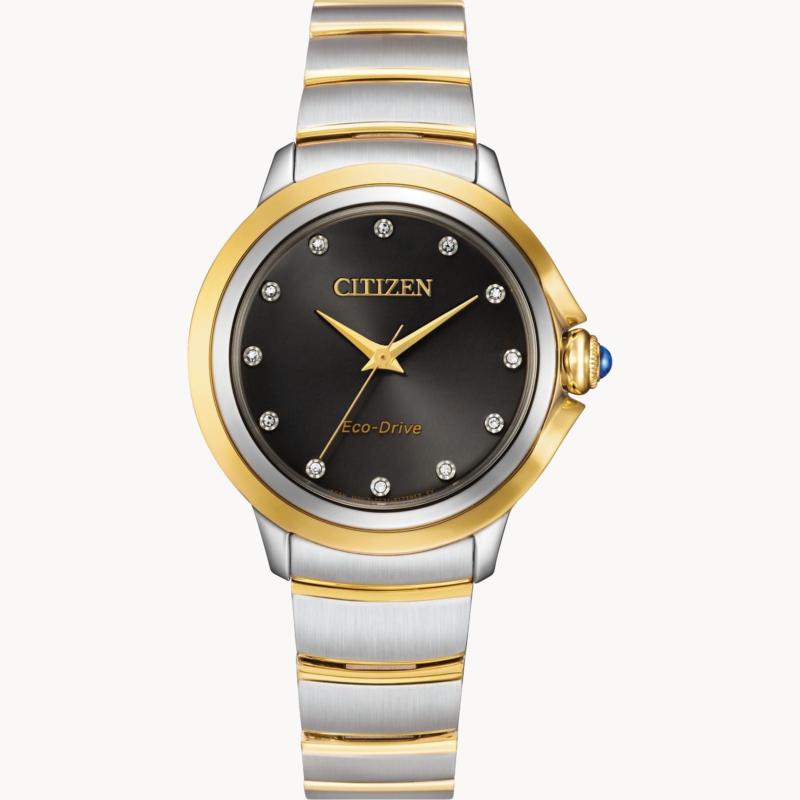 CECI Citizen Watch