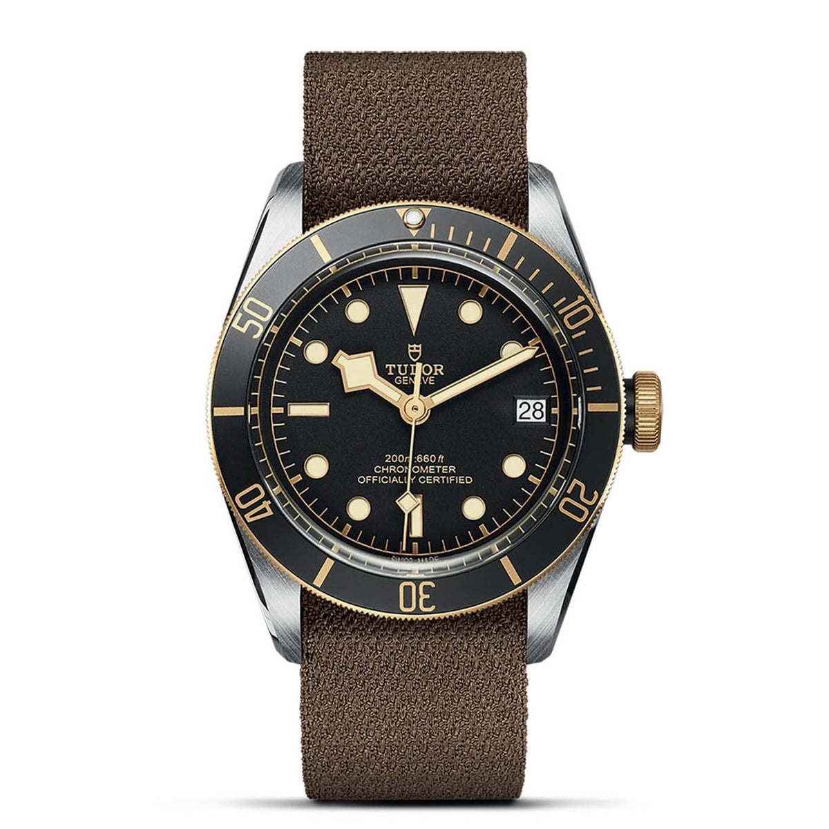 TUDOR Black Bay S&G 41mm Watch