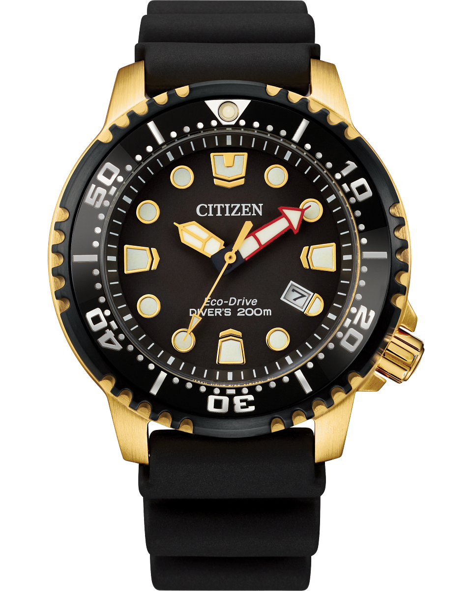 Professional Diver (Black/Gold)