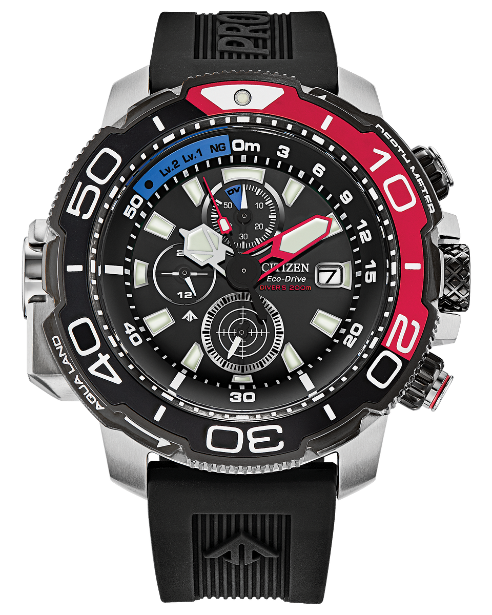 Promaster Aqualand Watch (Black/Silver)