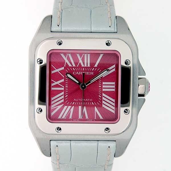 Cartier Unisex W20133X8 Santos Leather Watch
