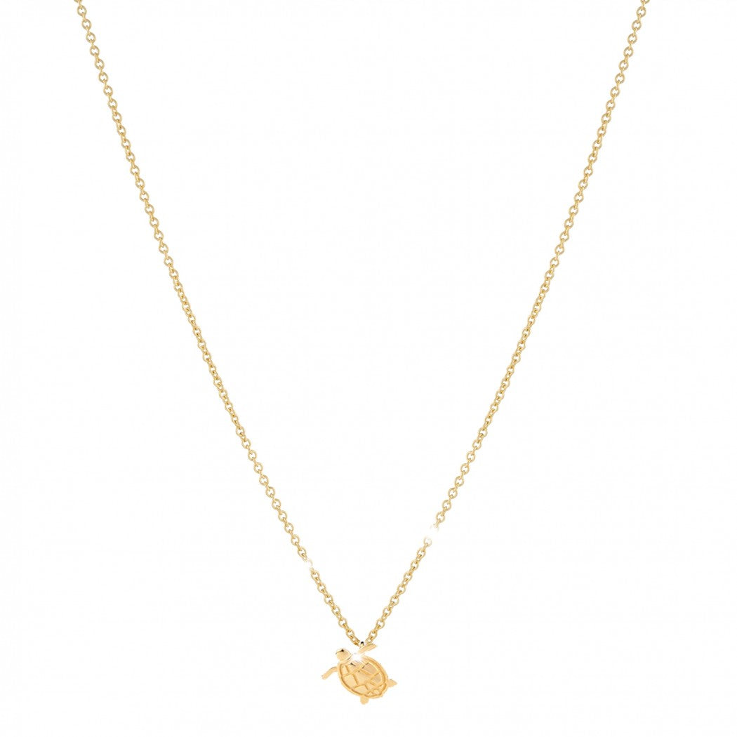 Turtle Resilience Necklace